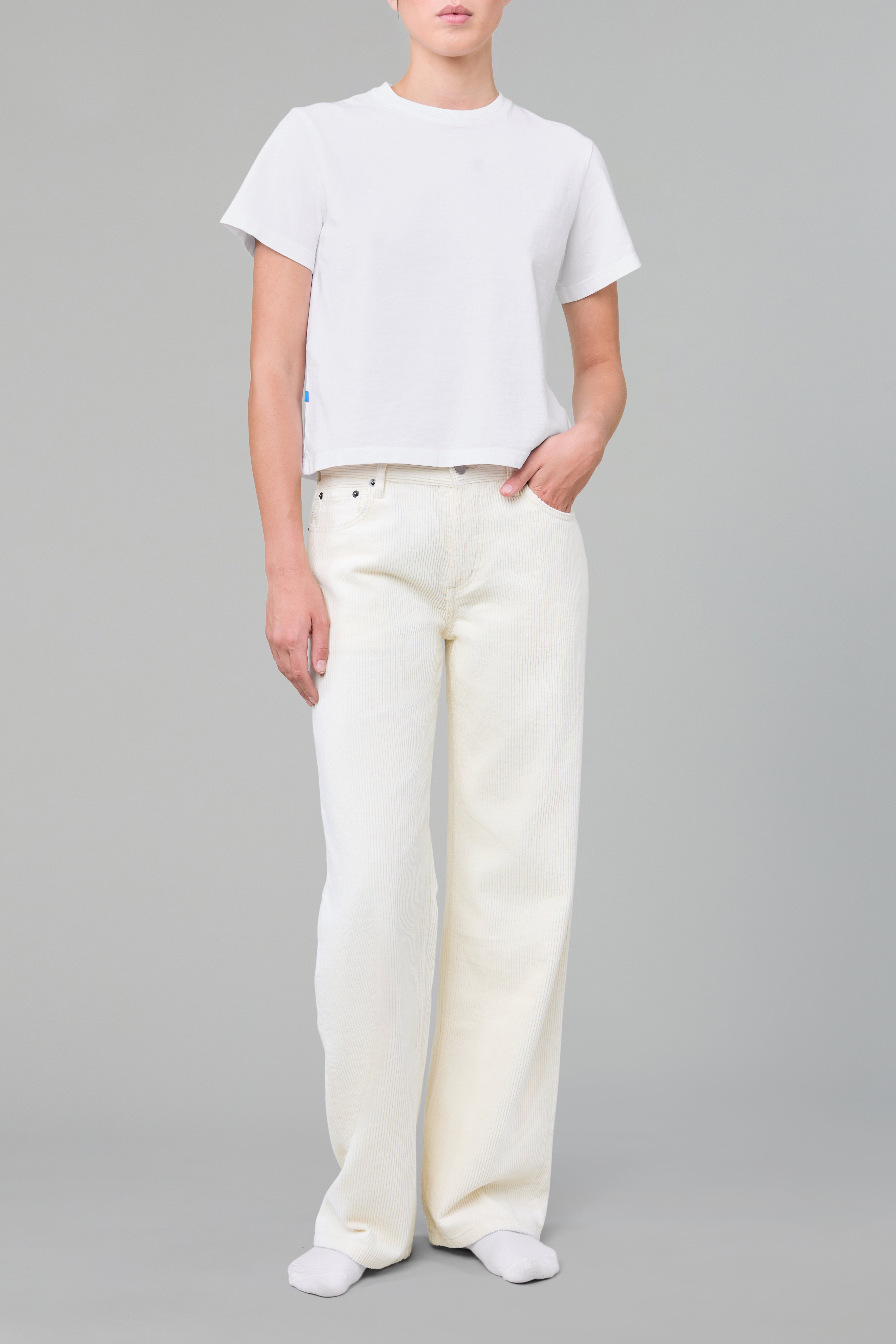 Everyday in Milk Corduroy – Still Here New York