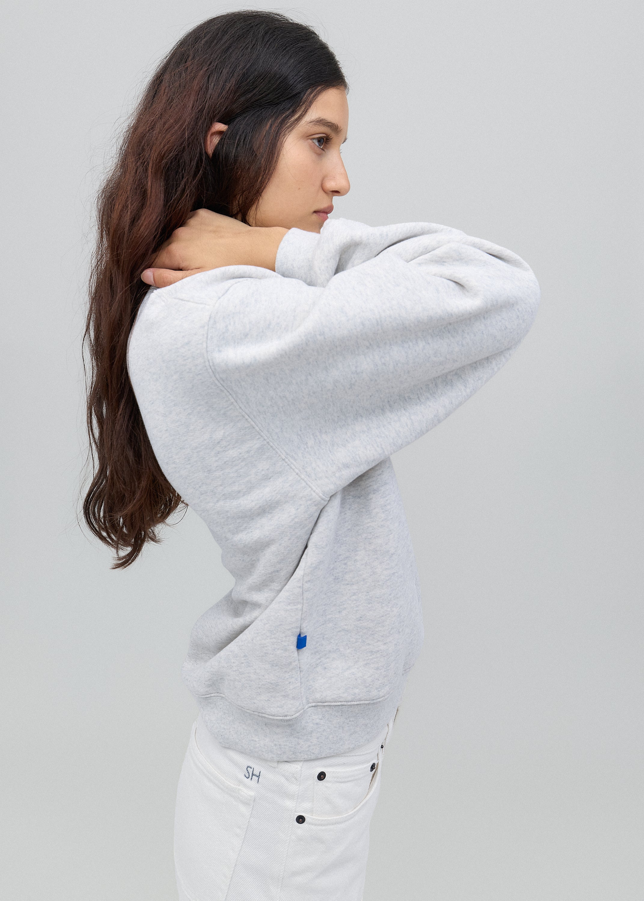 The Sweatshirt in Grey