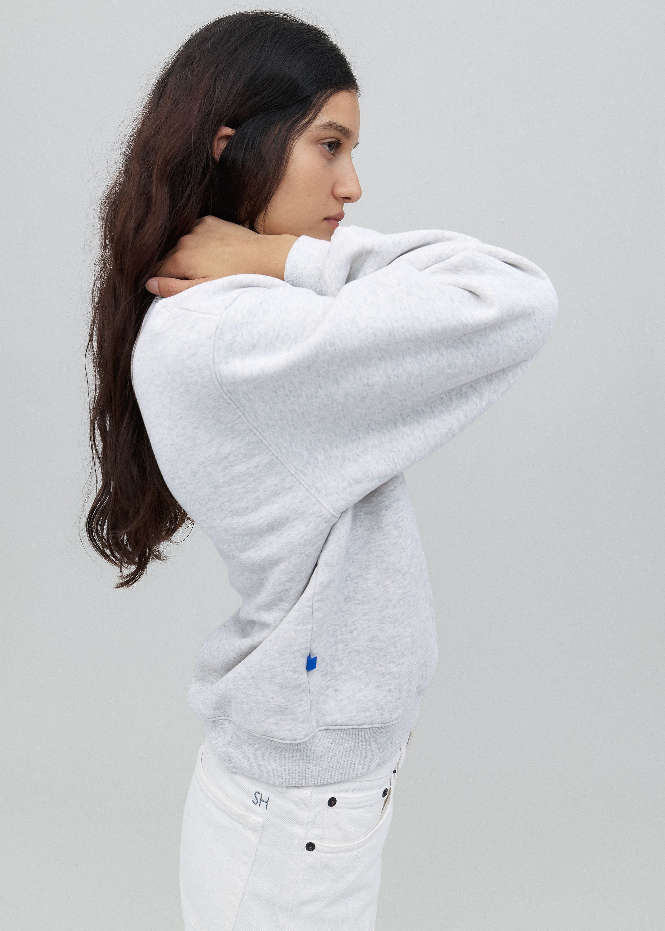 The Sweatshirt in Grey