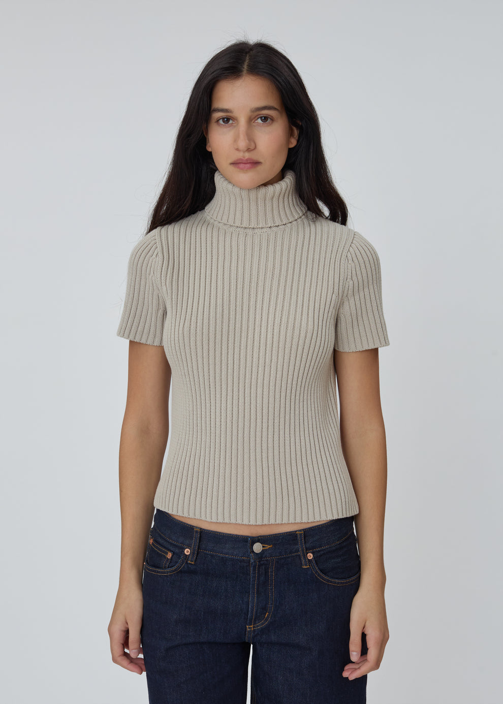 Miller Turtleneck Short Sleeve in Stone