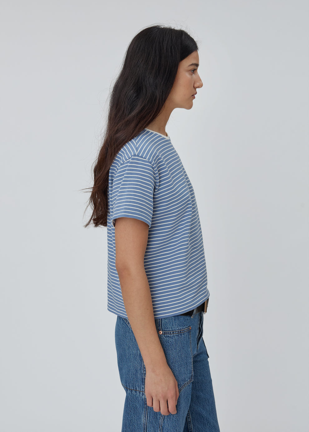 Stripe Tee in Blue