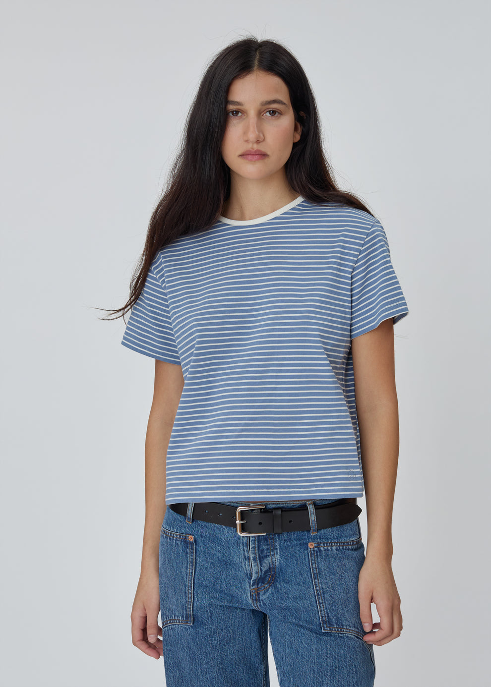 Stripe Tee in Blue