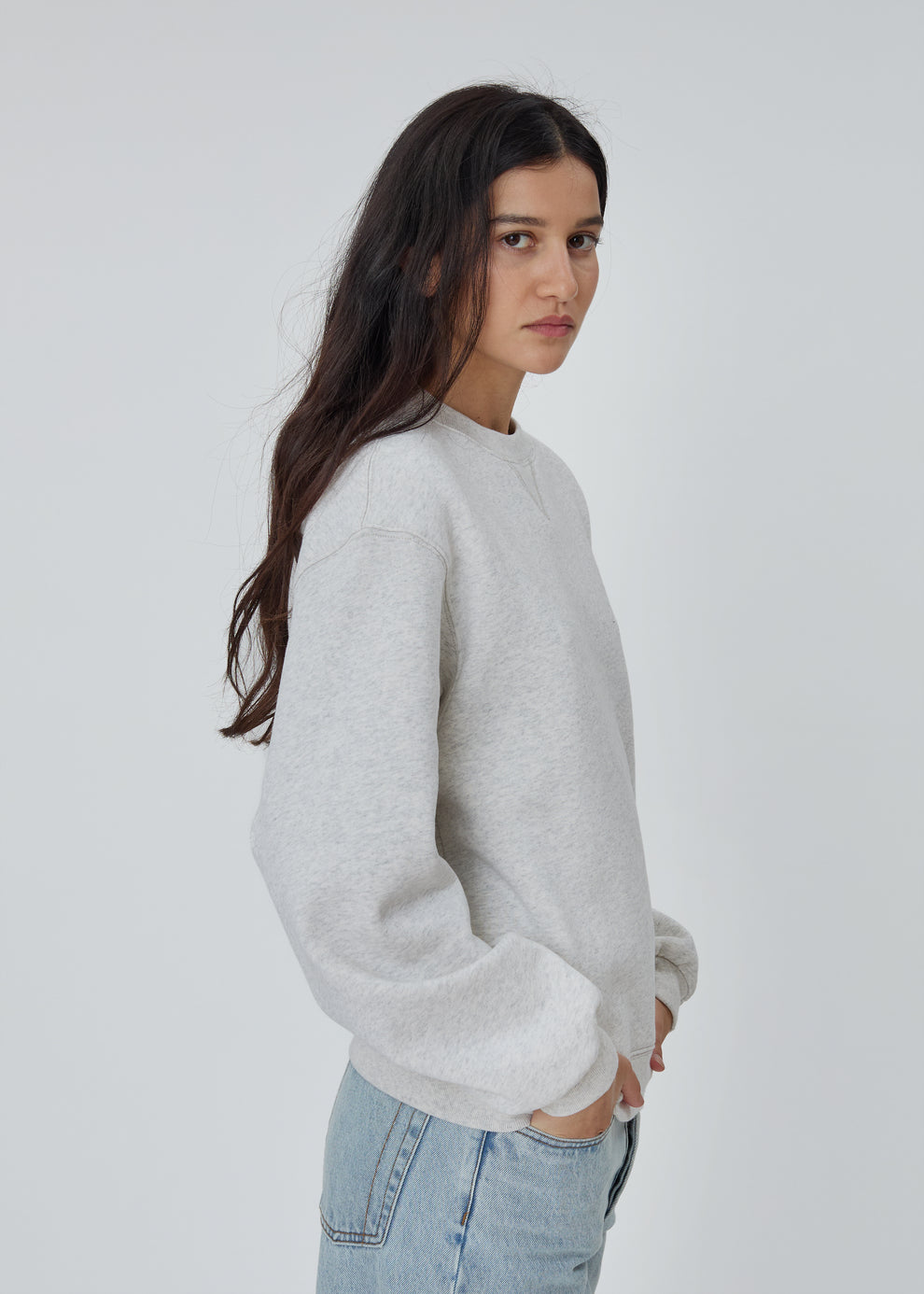 The Sweatshirt in Grey