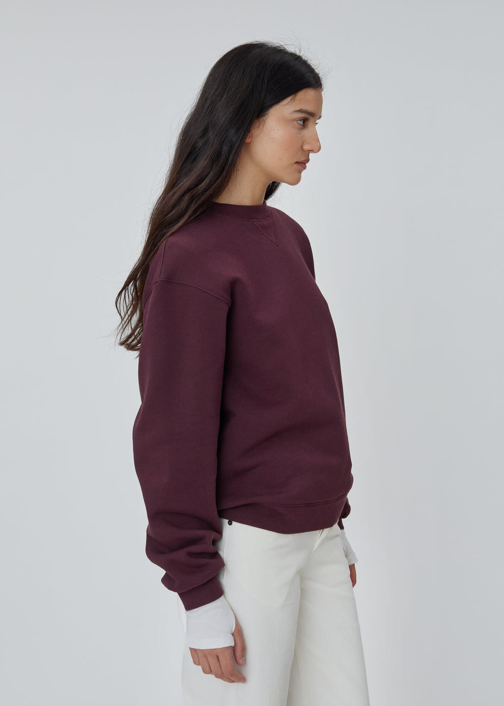 The Sweatshirt in Plum