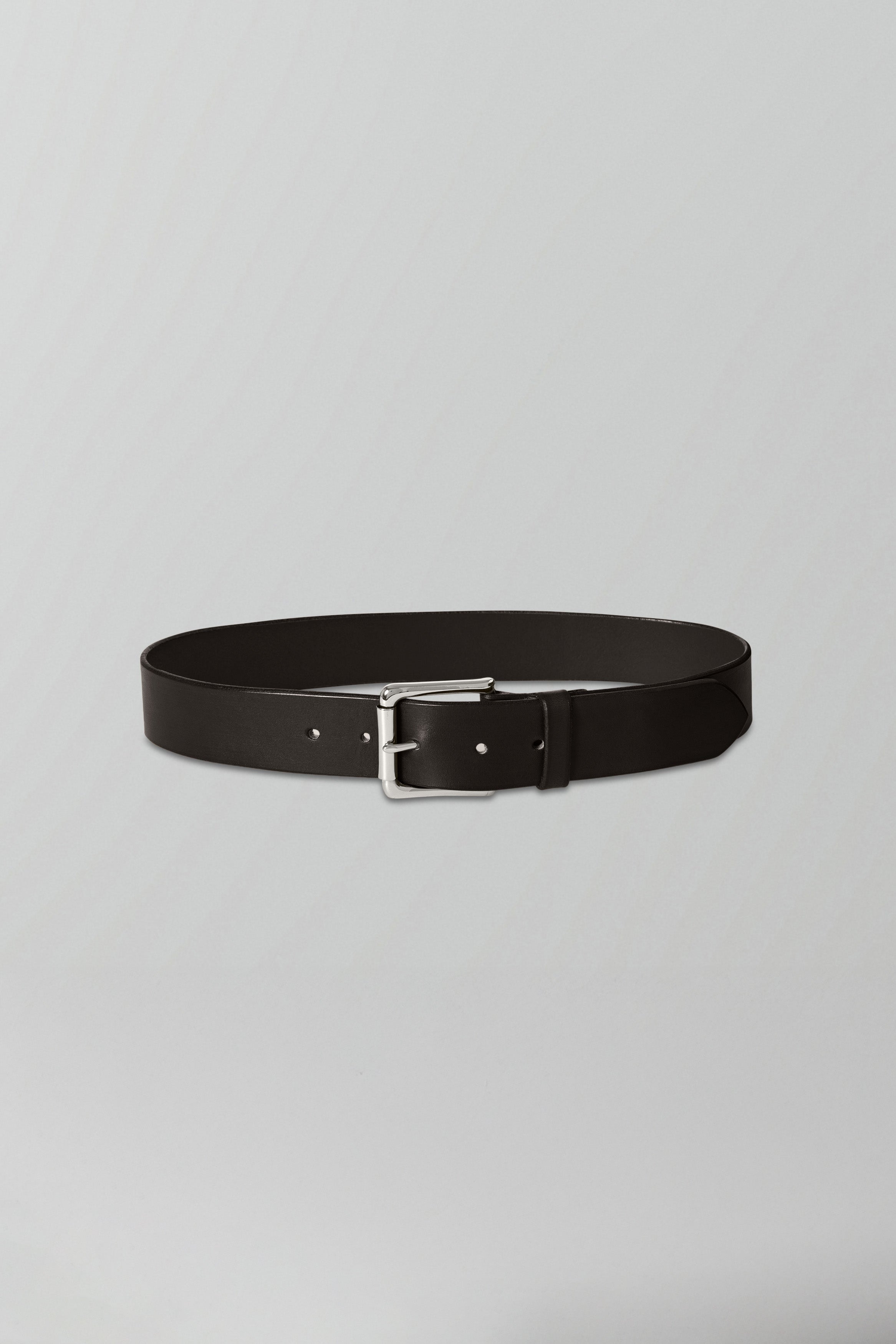 Regular Belt in Dark Brown
