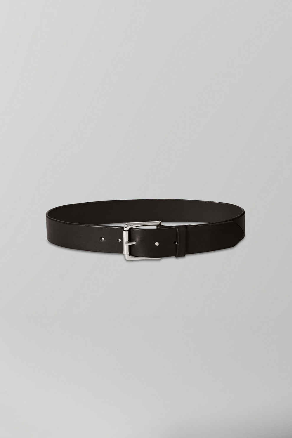 Regular Belt in Dark Brown