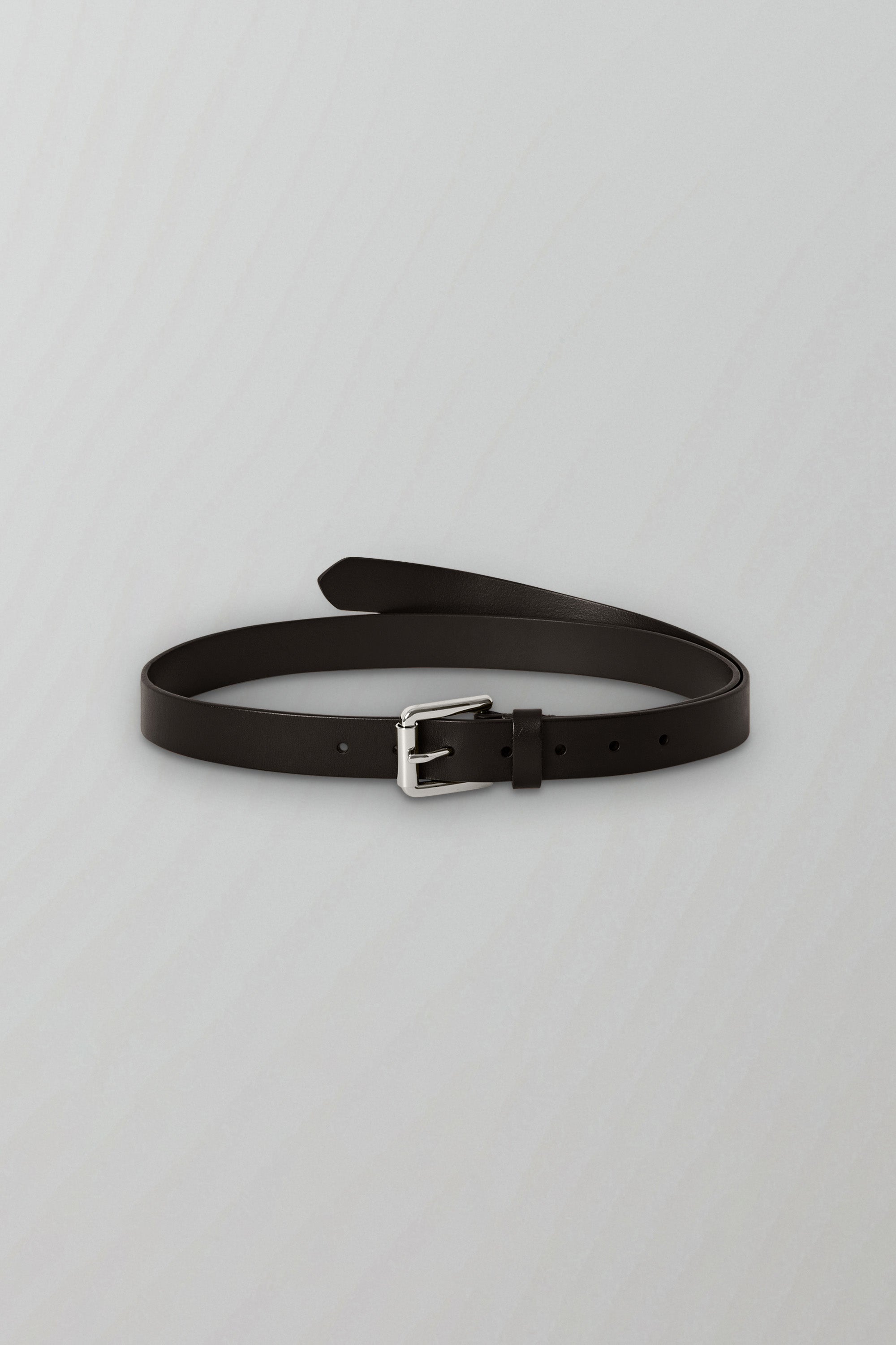 Long Belt in Dark Brown
