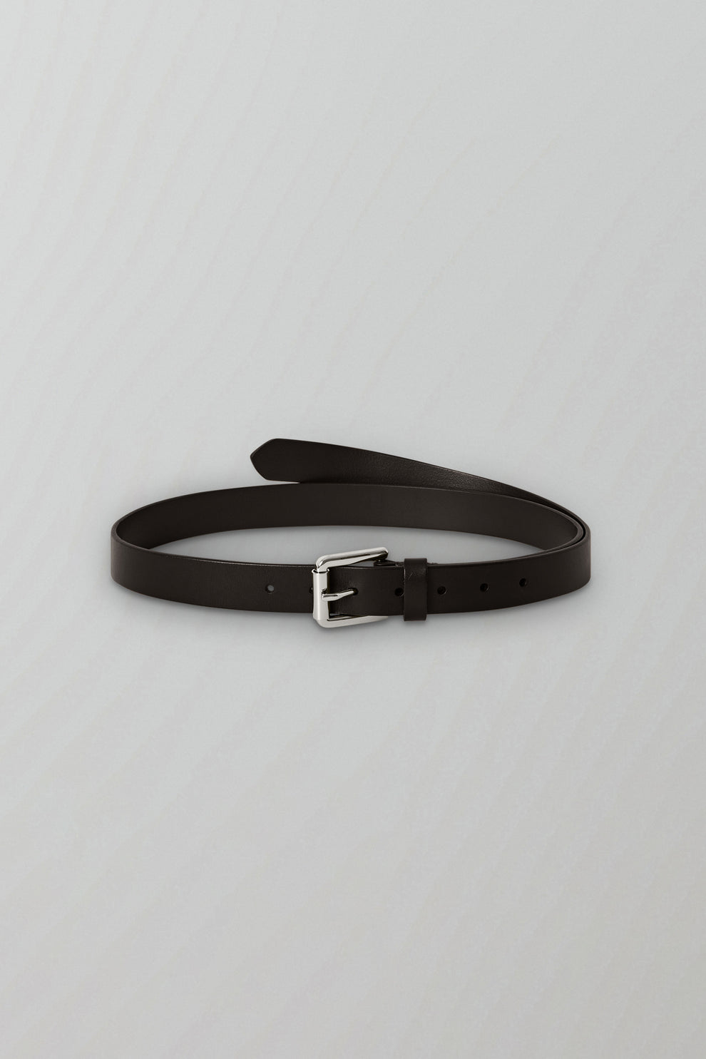Long Belt in Dark Brown