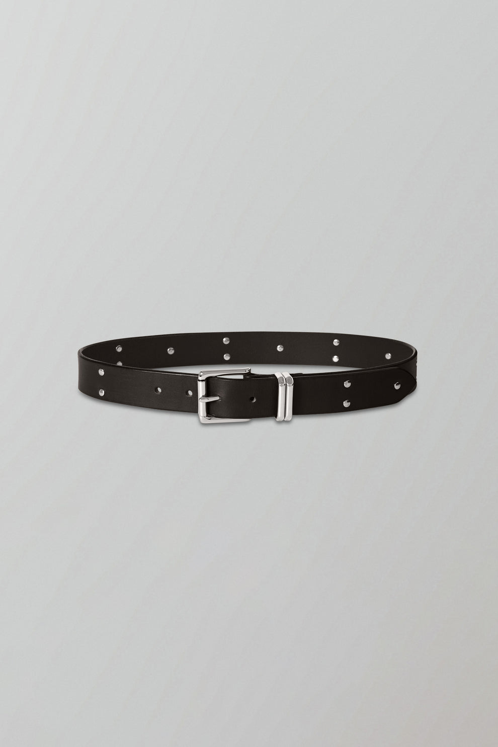 Studded Belt in Dark Brown