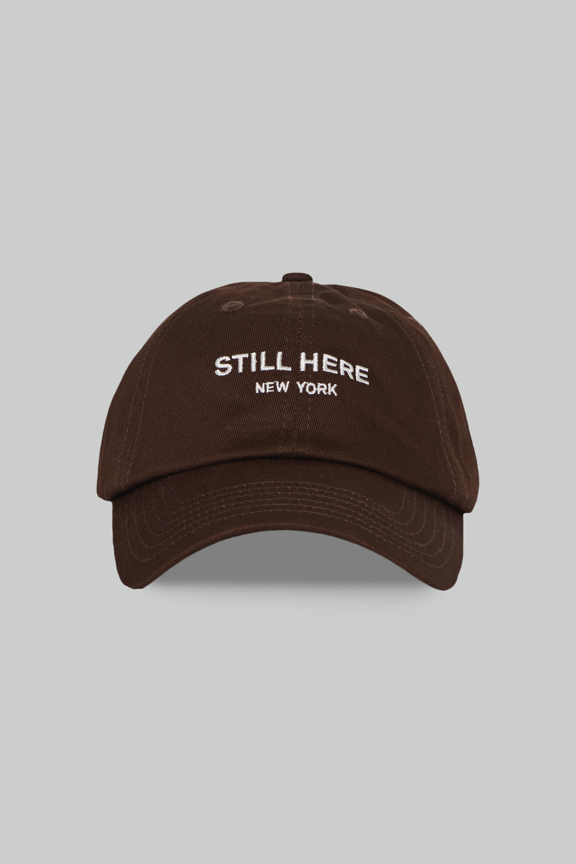 Dad Cap in Brown